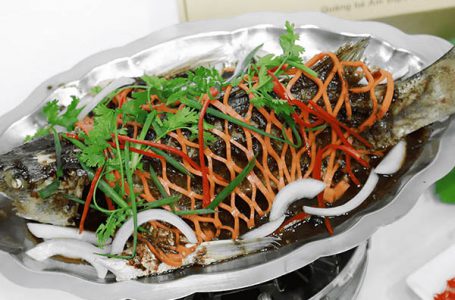 THỰC ĐƠN MÓN NGON DỄ NẤU THANH ĐẠM HÀNG NGÀY