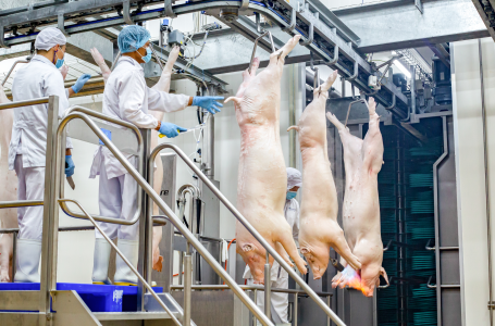 Thịt Ủ Mát MEATDeli: Đảm Bảo An Toàn Nhờ Hệ Thống Kiểm Dịch 3 Lớp